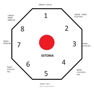 Imagen del estoma de un paciente